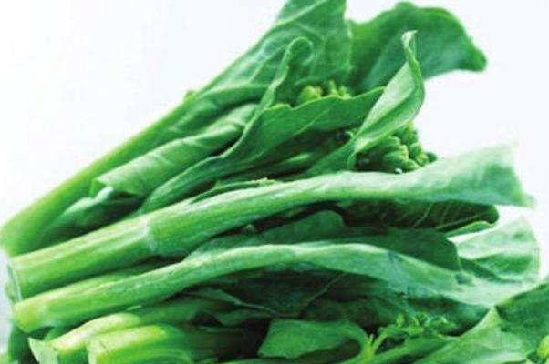 菜苔怎么保存时间更长 菜苔可以冷冻保存吗 菜苔怎么保存时间更长 菜苔可以冷冻保存吗