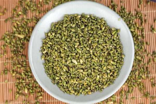 槐米茶的功效与作用 槐米茶能天天喝吗 槐米茶的功效与作用 槐米茶能天天喝吗