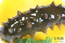 怎样鉴别新鲜海参的好坏?干海参如何鉴别真假 怎样鉴别新鲜海参的好坏?干海参如何鉴别真假