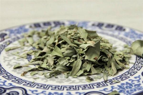 罗布麻茶能长期喝吗 注意剂量 罗布麻茶能长期喝吗 注意剂量