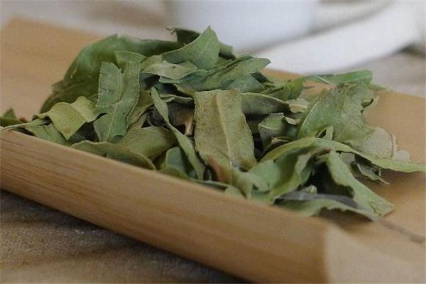 罗布麻茶能长期喝吗 注意剂量 罗布麻茶能长期喝吗 注意剂量