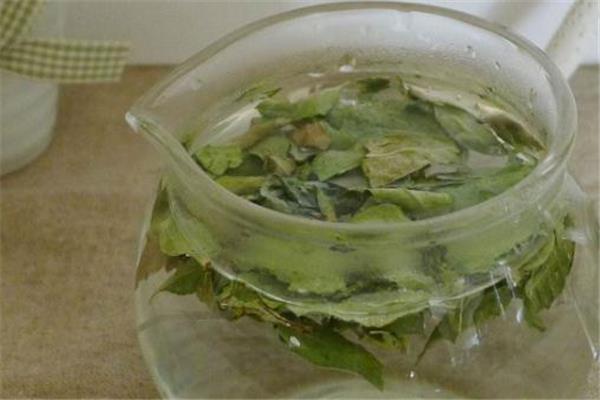 罗布麻茶能长期喝吗 注意剂量 罗布麻茶能长期喝吗 注意剂量
