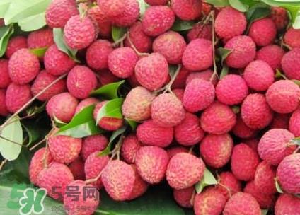 增城荔枝多少钱一斤?增城荔枝哪里的最好吃 增城荔枝多少钱一斤?增城荔枝哪里的最好吃