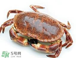 活面包蟹怎么保存?面包蟹能保存多久 活面包蟹怎么保存?面包蟹能保存多久