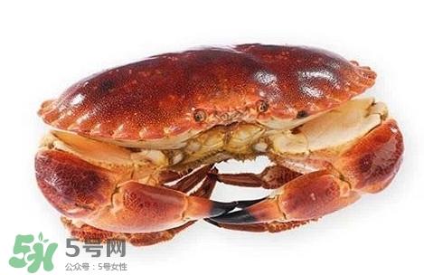 活面包蟹怎么保存?面包蟹能保存多久 活面包蟹怎么保存?面包蟹能保存多久
