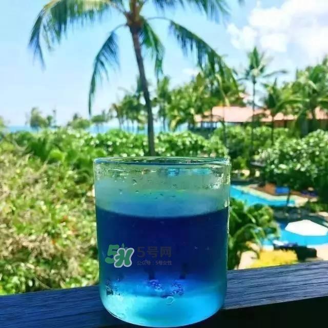pepsi blue蓝色百事可乐为什么火_在哪买_多少钱 pepsi blue蓝色百事可乐为什么火_在哪买_多少钱