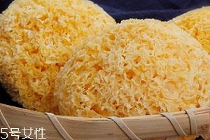 丑耳为什么煮起来不糯?丑耳怎么泡发 丑耳为什么煮起来不糯?丑耳怎么泡发