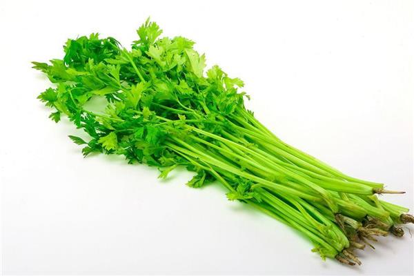 芹菜可以降高血压吗 芹菜降压效果怎么样 芹菜可以降高血压吗 芹菜降压效果怎么样