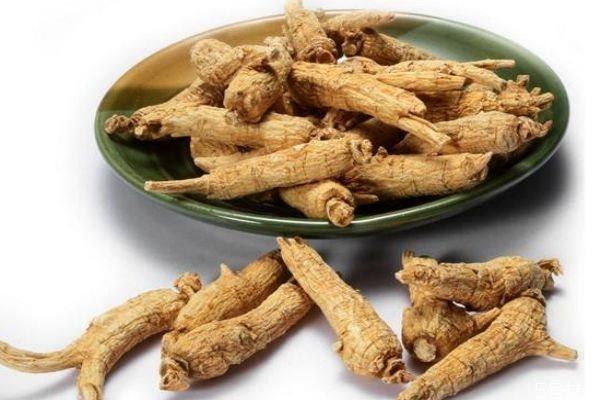 什么是西洋参呢 西洋参有什么作用呢 什么是西洋参呢 西洋参有什么作用呢