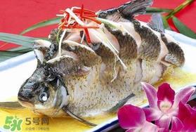 枇杷和鱼能一起吃吗?吃完鱼可以吃枇杷吗? 枇杷和鱼能一起吃吗?吃完鱼可以吃枇杷吗?