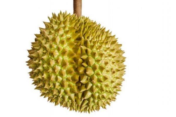 榴莲在高温路上会不会坏 榴莲怎么看坏没坏 榴莲在高温路上会不会坏 榴莲怎么看坏没坏