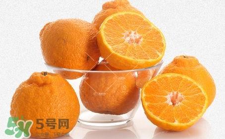 丑八怪是橙子吗？丑八怪是不是橙子