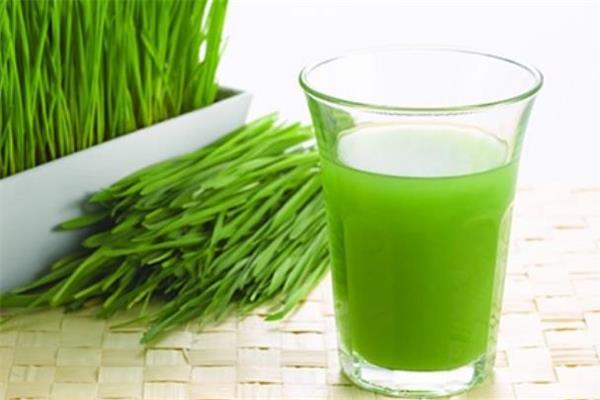 小麦草是什么 小麦草汁的功效与作用