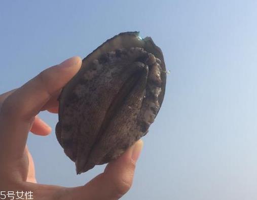 鲍鱼内脏能吃吗 有办法避免 鲍鱼内脏能吃吗 有办法避免