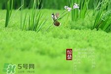 惊蛰要吃梨吗?惊蛰为什么要吃梨? 惊蛰要吃梨吗?惊蛰为什么要吃梨?