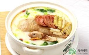 炖老鸭汤放什么材料?炖老鸭汤放什么最好? 炖老鸭汤放什么材料?炖老鸭汤放什么最好?
