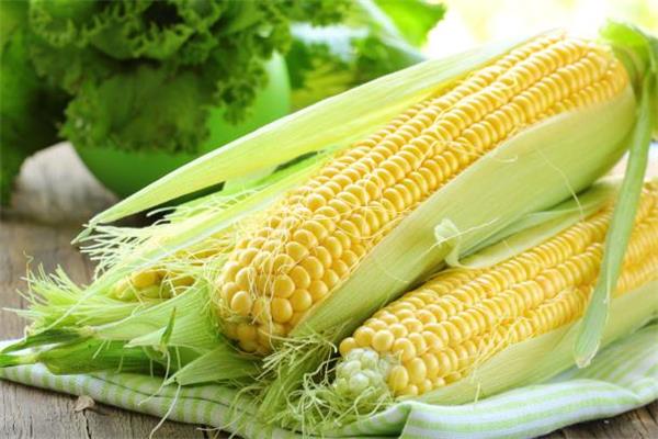甜玉米和糯玉米哪个减肥效果好 玉米热量分析 甜玉米和糯玉米哪个减肥效果好 玉米热量分析