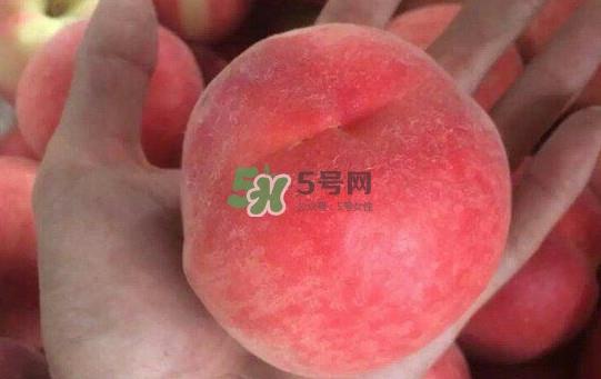 红不软桃几月份成熟?红不软桃什么时候成熟 红不软桃几月份成熟?红不软桃什么时候成熟