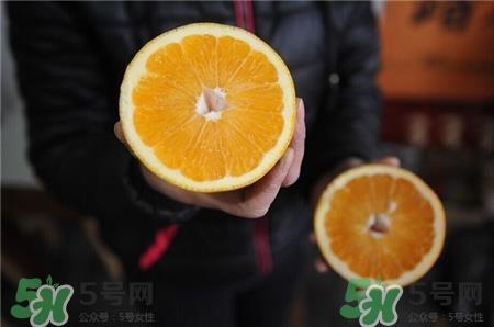 胡柚孕妇可以吃吗?胡柚与什么相克? 胡柚孕妇可以吃吗?胡柚与什么相克?