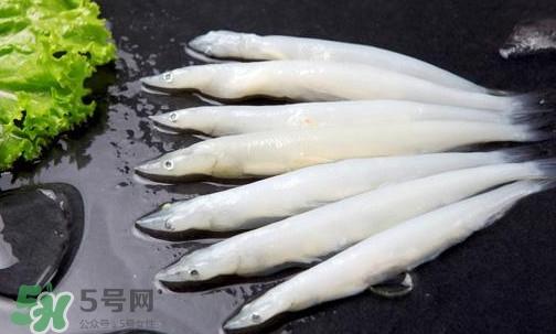 面条鱼有刺吗?面条鱼有鳞吗 面条鱼有刺吗?面条鱼有鳞吗