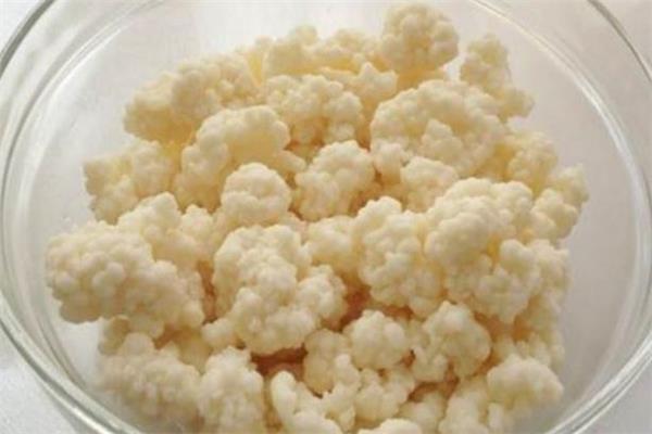 雪莲菌多少钱一斤 雪莲菌价格 雪莲菌多少钱一斤 雪莲菌价格