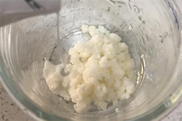 雪莲菌多少钱一斤 雪莲菌价格 雪莲菌多少钱一斤 雪莲菌价格