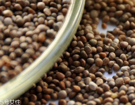 紫苏子的主要价值 增强学习记忆能力 紫苏子的主要价值 增强学习记忆能力