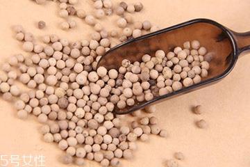 白胡椒能腌制牛排吗?白胡椒可以用什么代替? 白胡椒能腌制牛排吗?白胡椒可以用什么代替?