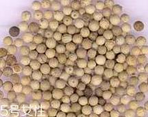 白胡椒能腌制牛排吗?白胡椒可以用什么代替? 白胡椒能腌制牛排吗?白胡椒可以用什么代替?