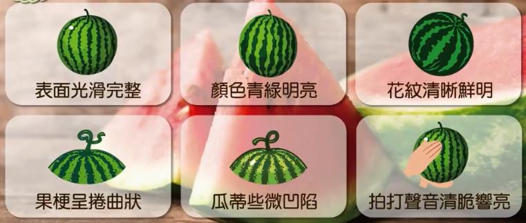 西瓜有公母之分吗 西瓜怎么样分公母 西瓜有公母之分吗 西瓜怎么样分公母