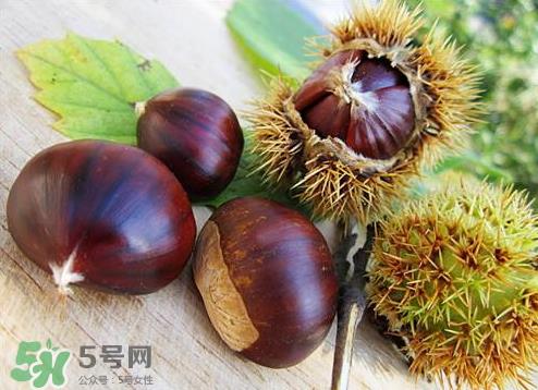 板栗泡酒真的能壮阳吗?板栗泡酒有什么功效? 板栗泡酒真的能壮阳吗?板栗泡酒有什么功效?