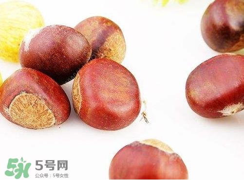 板栗泡酒真的能壮阳吗?板栗泡酒有什么功效? 板栗泡酒真的能壮阳吗?板栗泡酒有什么功效?