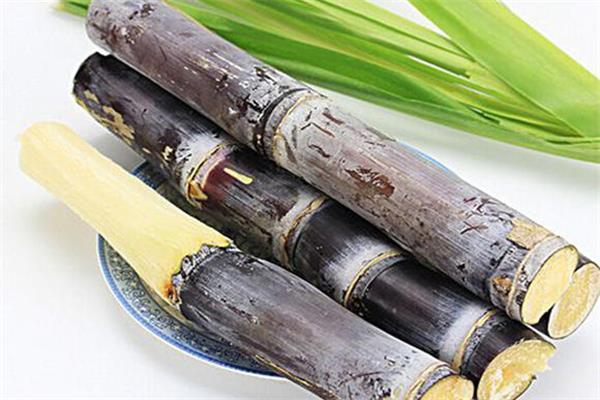 甘蔗断面出现的红色丝状物代表什么 甘蔗有红色丝还能吃吗 甘蔗断面出现的红色丝状物代表什么 甘蔗有红色丝还能吃吗