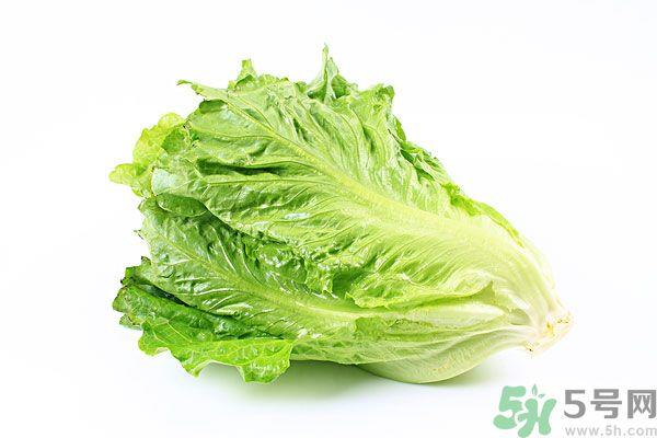 生菜在冰箱放久了能吃吗?如何分辨生菜新不新鲜? 生菜在冰箱放久了能吃吗?如何分辨生菜新不新鲜?