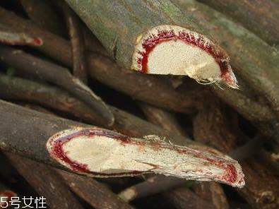 鸡血藤的营养价值 价值高效 鸡血藤的营养价值 价值高效