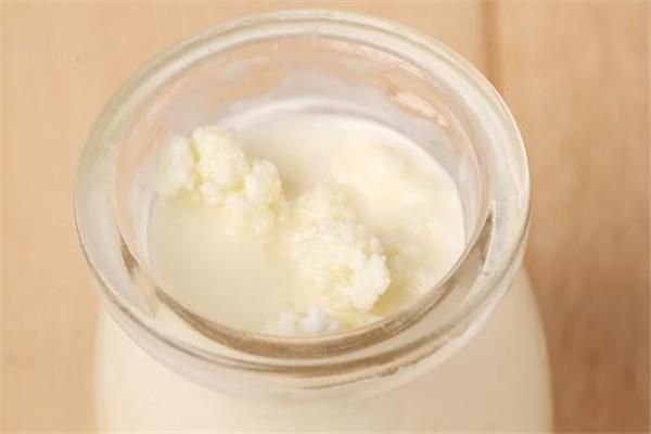 雪莲菌可以长期喝吗 雪莲菌长期喝有害吗 雪莲菌可以长期喝吗 雪莲菌长期喝有害吗