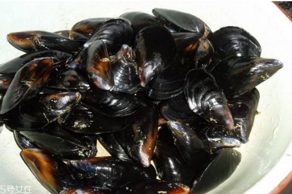 淡菜是海鲜吗 什么人群不能吃淡菜呢 淡菜是海鲜吗 什么人群不能吃淡菜呢