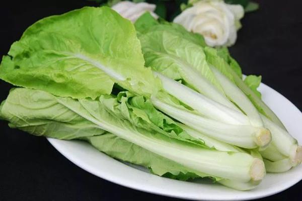 小白菜可以和虾一起吃吗 小白菜可以和牛肉一起吃吗 小白菜可以和虾一起吃吗 小白菜可以和牛肉一起吃吗