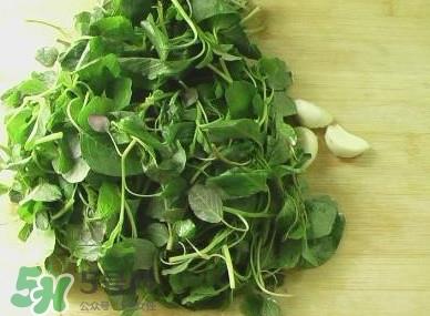 野苋菜能吃吗?野苋菜图片 野苋菜能吃吗?野苋菜图片