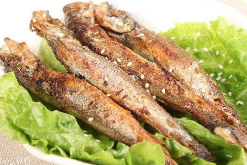 多春鱼什么季节吃 春季是吃多春鱼的最佳季节 多春鱼什么季节吃 春季是吃多春鱼的最佳季节