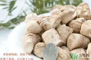 香菇根能吃吗?香菇的根可以吃吗? 香菇根能吃吗?香菇的根可以吃吗?