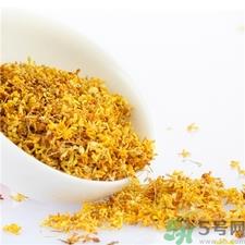 桂花可以泡茶吗?桂花泡茶喝有什么好处? 桂花可以泡茶吗?桂花泡茶喝有什么好处?