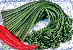 蕨菜有毒吗?吃蕨菜会中毒吗? 蕨菜有毒吗?吃蕨菜会中毒吗?