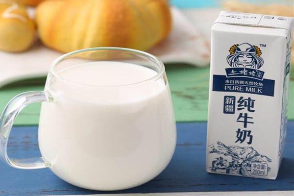 纯牛奶可以空腹喝吗 纯牛奶什么时间点喝好