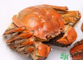 河蟹死了一天能吃吗?河蟹死了多久不能吃? 河蟹死了一天能吃吗?河蟹死了多久不能吃?