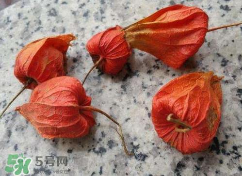 红姑娘皮是否可泡水喝 红姑娘皮怎么泡水 红姑娘皮是否可泡水喝 红姑娘皮怎么泡水