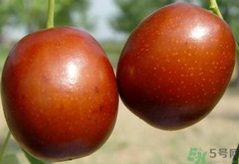 新鲜红枣补血吗?吃新鲜红枣补血吗? 新鲜红枣补血吗?吃新鲜红枣补血吗?