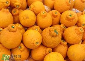 丑橘是转基因吗?丑八怪是转基因的吗? 丑橘是转基因吗?丑八怪是转基因的吗?
