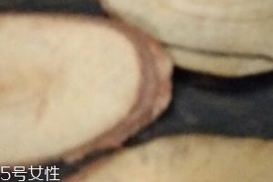 东革阿里是中药吗?东革阿里是什么? 东革阿里是中药吗?东革阿里是什么?