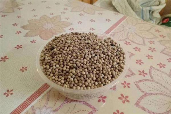 白胡椒可以每天吃吗 白胡椒吃多了会怎样 白胡椒可以每天吃吗 白胡椒吃多了会怎样
